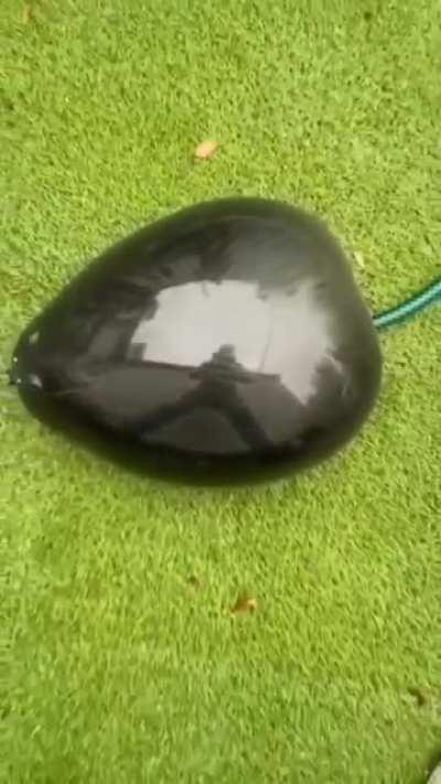 Thanks I hate whatever the fuck is going on here