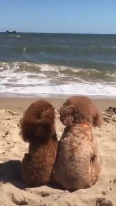 На небе только и разговоров...