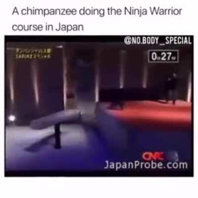 I'm 15 and this is yeet