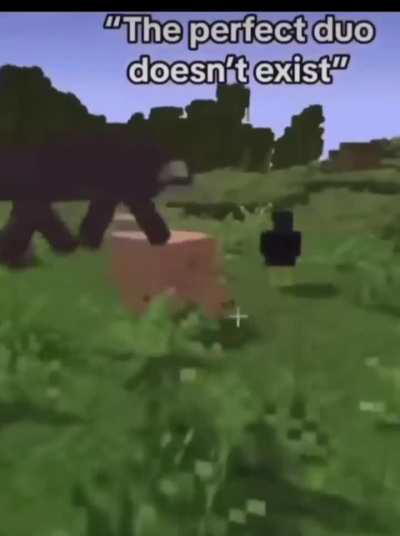 Nem fudendo q é ele...