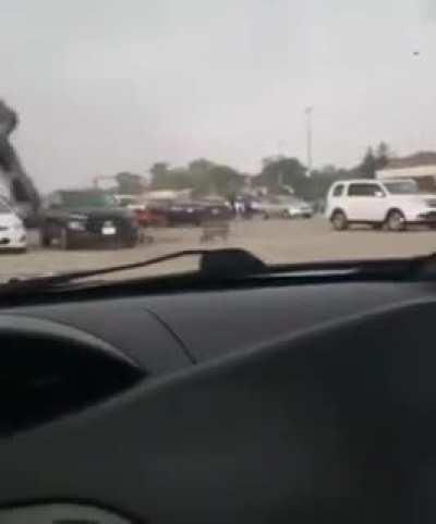 Attack of the dead shopping carts.