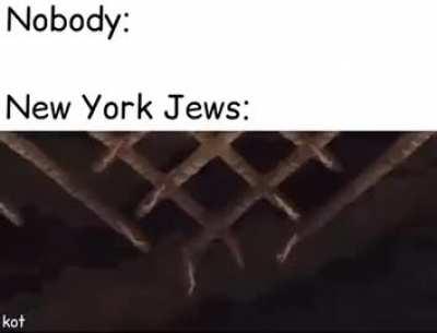 Just a normal day in NYC