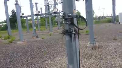 New Led Zeppelin video