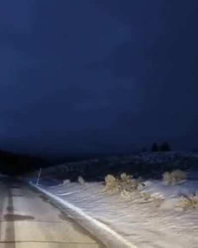 A road trip in the Republic of Tyva, Russia, can easily turn into a wildlife show. The main thing is that the hunt does not start on the viewer.