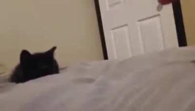 This round black criminal