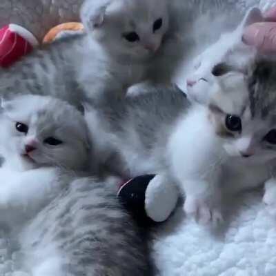 The best anti-depressants