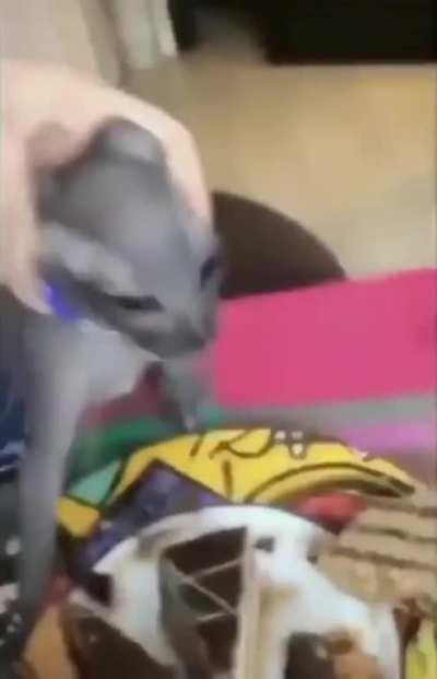 When the low strikes