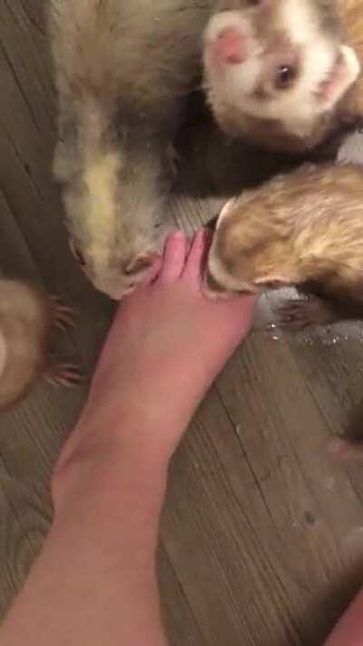 This happens every time I get out of the shower