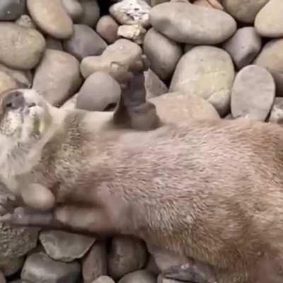 There is no time or place to do sports.