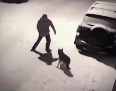 Don't Mess with this lovely Creature 👊👊