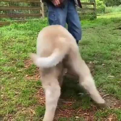 What a little cutie!