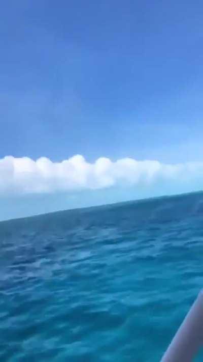 that ass needs to be spanked and worked