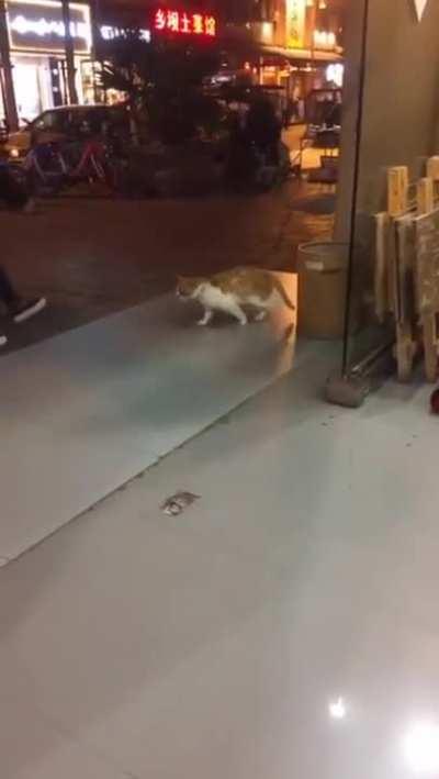 A Michael Jackson fan dancer