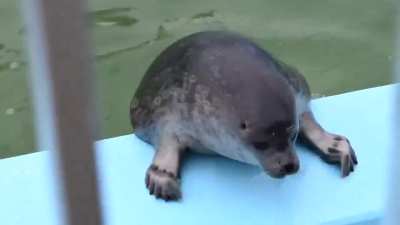 i can't climb uppp... ough