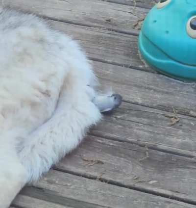 Just gonna borrow some of this right here.