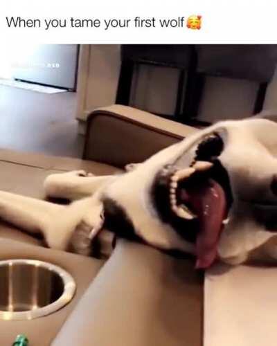 It was love at first sight