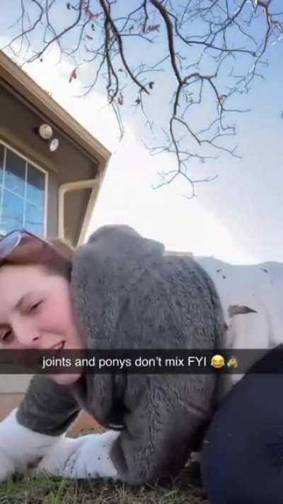 Little Sebastian has other ideas.