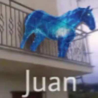juan.mp4