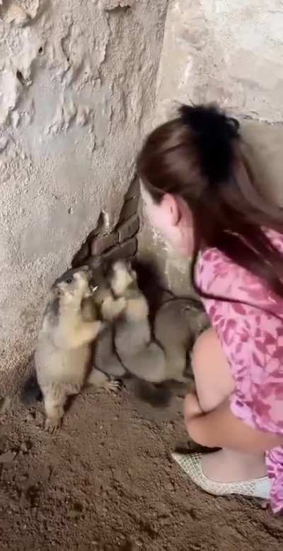 真是吃饱了撑的