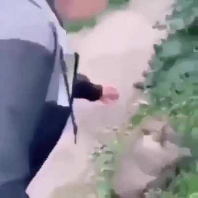 No toquen al admin:(