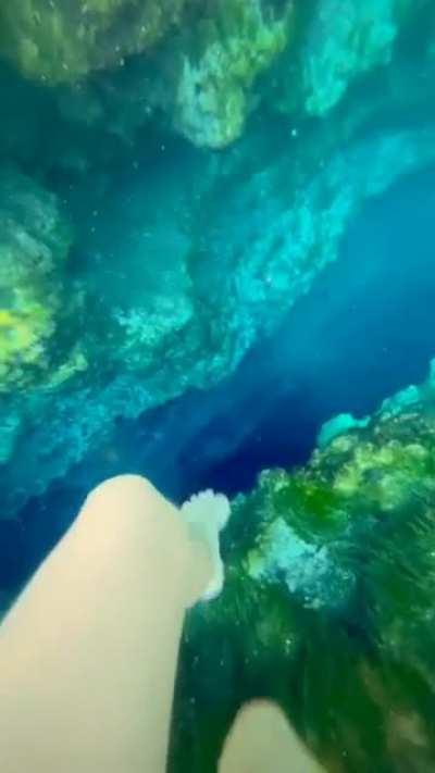 The things I can see coming out of that trench.