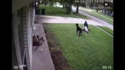 Man body slams and punches coyote after it attacks one of his dogs