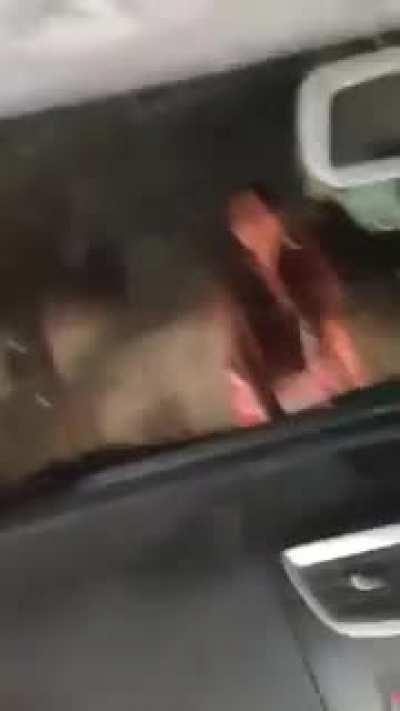 Wait for end 😳😳