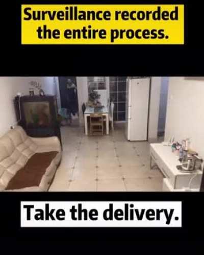 Smart Doggo greets delivery man