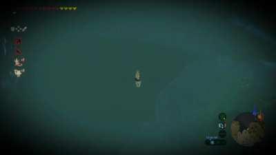 My 8 year old son showing me Link swan diving...