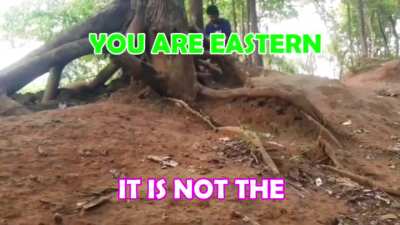 They really have that married old couple energy lol