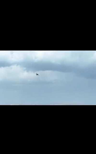 Finally, a pigeon developed in bio laboratory