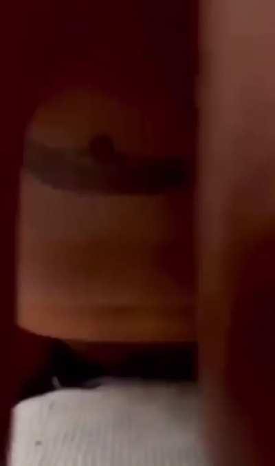 Hot woman with great tits riding on a cock