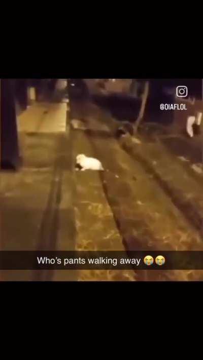 lan dur nereye kaciyon