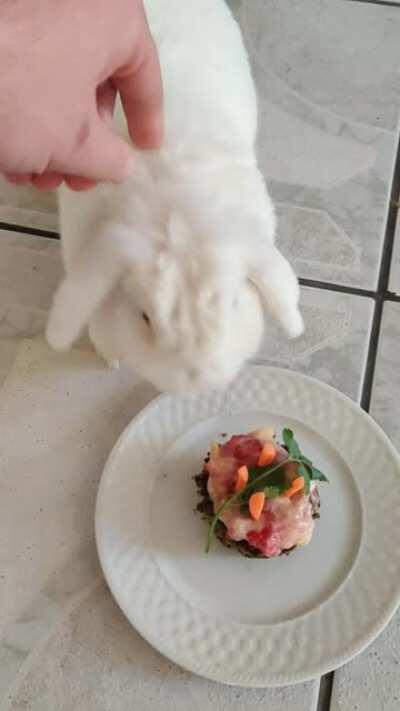 It was my little buns Forever Home/Birthday last week. Made her an Apple-Pellet 