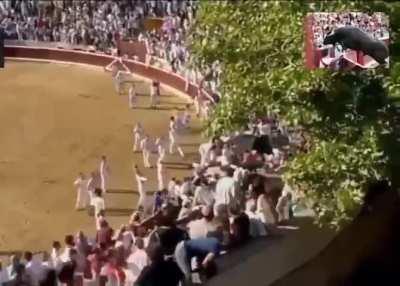 The revenge of the Bull!