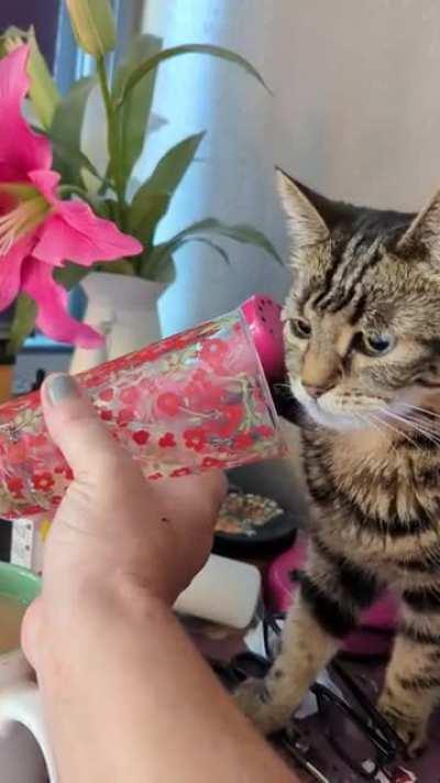 My human hand feeds me.