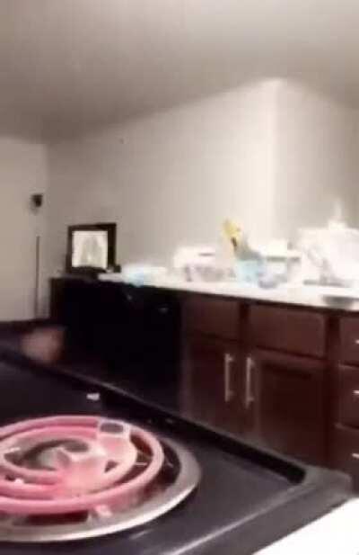 let the stove join the fight instead of her butt