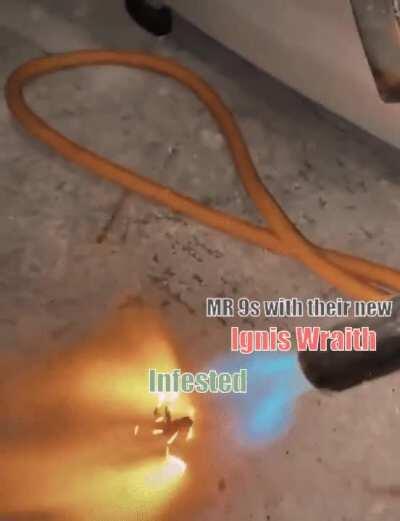 Best 8 platinum of my life