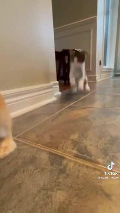 Just in case you needed to smile today