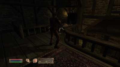 Our dogs are so happy here