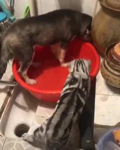 What did I tell you about splashing the water allover the place?!