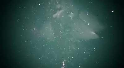 The Oceangate Implosion: One of those situations you stop being biology and become physics