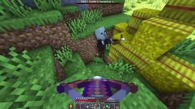 When you Finally find the Last Pillager