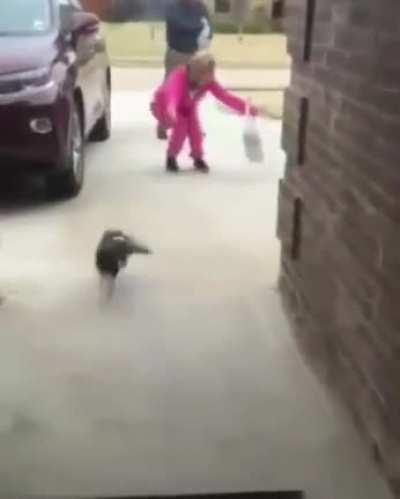 Grandpa always wins.