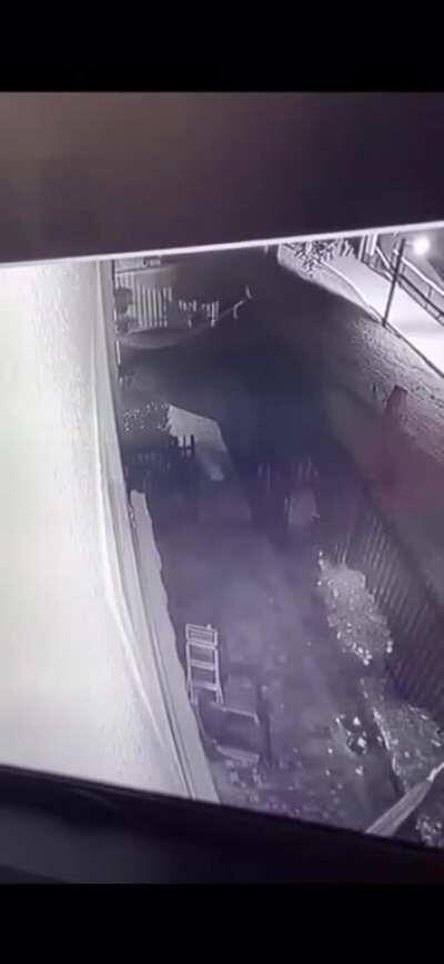 She is human but what if there are more peoople like her living in the wilderness. “Niña perro” Mexico-Tamaulipas