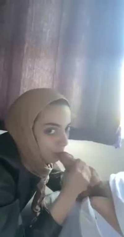 Arab Blowjob Hijab Muslim Pakistani Smile Porn GIF by smingers