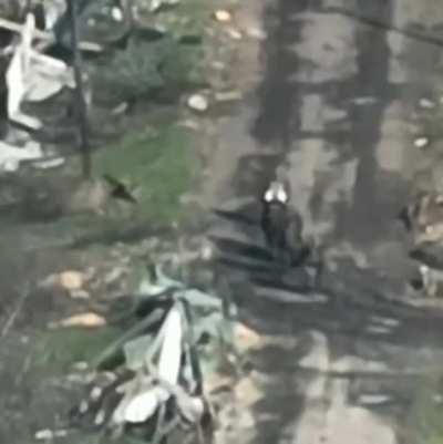 Medic....medic.... Never mind.