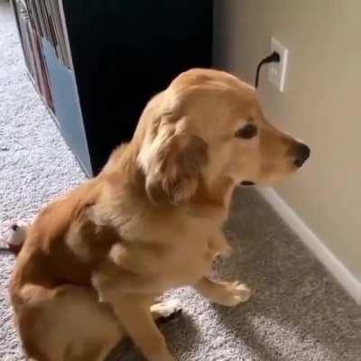 He realized he messed up.