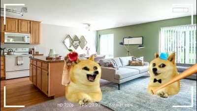 Le brain damage has arrived