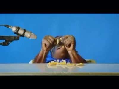 Macaco é a nova trend em 2020/2021